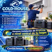 COLD HOUSE - Img 57397212