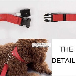 COLLAR CORREA PARA PERRO CON LUZ LED SEGURIDAD PARA PASEO NOCTURNO. - Img 94723575