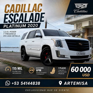 Cadillac Scalade Platinum 2020 - 9/9