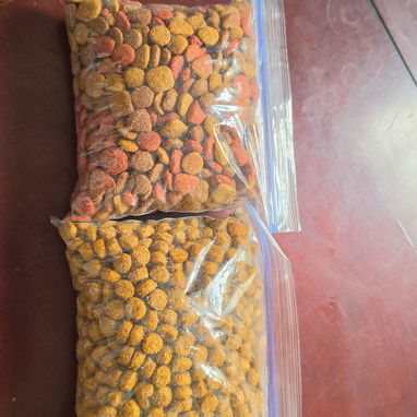 Comida para perros y gatos - 2/2