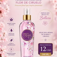 COLONIA CORPORAL MAJA FLOR DE CIRUELO 240 ML - Img 53474099
