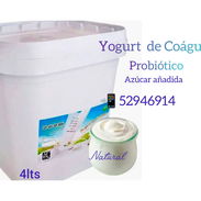 Yogurt Probiótico 4 lts , Coágulado de leche de vaca 🐮! - Img 55754391