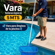 Vara telescópica 5mts para limpieza de tu piscina - Img 56052526