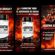 LIPO 6 L-CARNITINE (NUTREX) 120CAP-60SERV 58234161 y 56902981 FITNESSARMY - Img 49611028