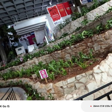 Servicio de jardinería - Img 119439260