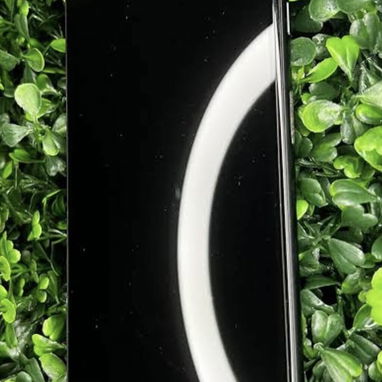Teléfono móvil iPhone 8 Plus de 64 gb con batería 100 %( se da con un forro negro) - 2/4