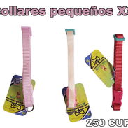 Collares pequeños para perros y gatos - Img 56214007