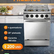 COCINA CON HORNO DE GAS CON 4 QUEMADORES Y 20" PLATEADA* 🍳 - Img 56161362