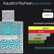 Aquatica Rayhaan PERFUME - Img 58089218