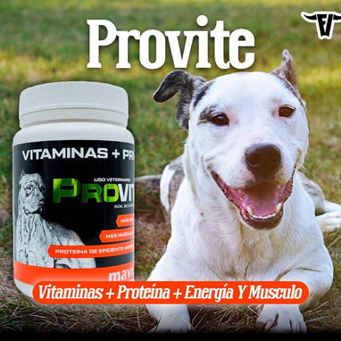Vitaminas para perros - Img 114643276