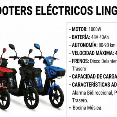 Scotter eléctrica LIGNAJ 48v x 40amh - 2/2