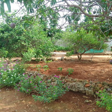 Vendo casa independiente en Playa Baracoa - Img 124729745
