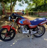 Lifan 125 cc - Img 50247194