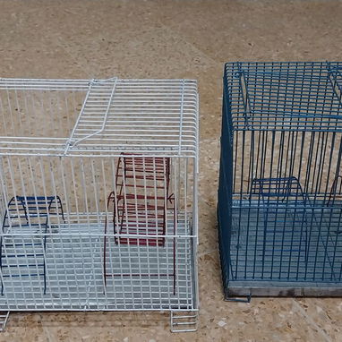 Variedad de hamster( pequeños y grandes). Jaulas. Pienso. Comederos. Ruedas - Img 117571075