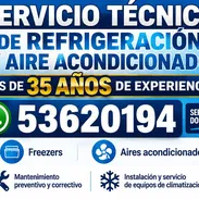 Técnico en Refrigeración y Aire Acondicionado +35 Años de Experiencia - Img 57289723