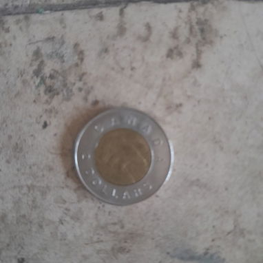 Venta de 5 Dolares Canadienses por 2000 CUP - 3/6