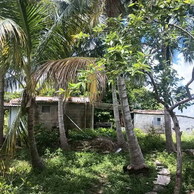Venta de casas con finca - Img 124292657