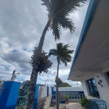 Renta de dos habitaciones climat y piscina con recirculación en la playa de Guanabo  +53 52463651 , 5 cuadras del mar, M - Img 110277393