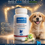 Alfoxtel 10 (antiparasitario interno y externo para perros) - Img 53915991