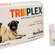 Triplex para Mascotas - Img 55136367