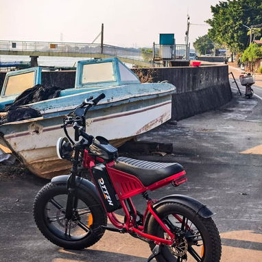 BICICLETA ELÉCTRICA DTTZH - 2/4