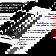 Clases particulares de idioma francés. Niveles A1 y A2 - Img 49328946