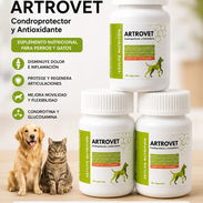 Artrovet (Glucosamina con Condoitrina, omegas y Multivitaminas) - Img 55568324