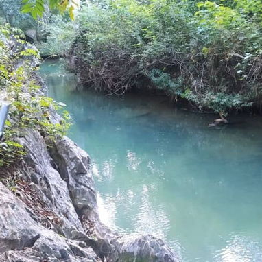 Excursiones a Viñales 🌄 Descubre la Magia de Viñales: Una Aventura para Dos 🌄 - Img 104166854