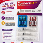 B1 B6 B12 con Dexametasona y Lidocaina - Img 57217827