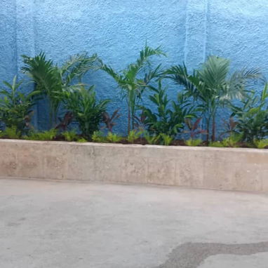 Servicio de jardinería 👩🏼‍🌾 - Img 124722375