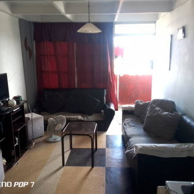 Casa por tulipán - 3/6
