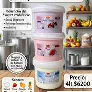 Yogurt probiotico RFC $6200 - Img 58469754