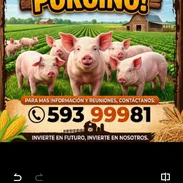 Tus ganancias seguras con nosotros - Img 57299985