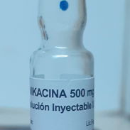 -Amikacina inyectable (2ml/500mg) - Img 55481193