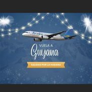 Vuelos a Guyana - Img 56887218