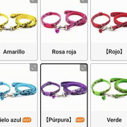 COLLARES Y PECHERAS - Img 57622303