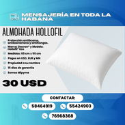 ALMOHADA HOLLOFIL — 30 USD Marca: Dacron® Modelo: Hollofil® Eco Medidas: 65 × 50 cm Firmeza: Media - Img 57625241
