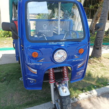 Triciclo de combustion original 250cc - 2/3