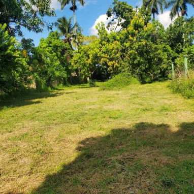 !!!🏡SE VENDE FINCA CON 9600 METROS CUADRADOS TOTALES EN PROPIEDAD !!!! - 7/10