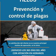 Helos (servicios de fumigación y control de plagas) - Img 45393241