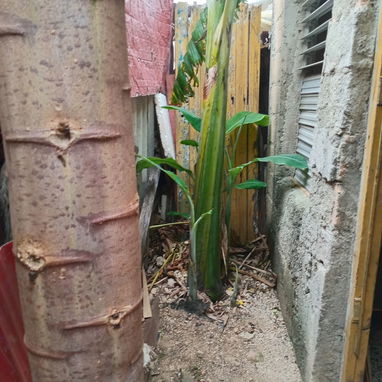 Se vende casa en el municipio de Playa la Habana - 7/7