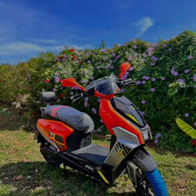Motos Eléctricas • GAMA ALTA CON RESPALDO TOTAL - 9/10
