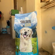 Saco de comida para perros 20kg - Img 57385976