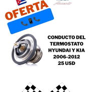 Conductor del termostato - Img 56750611