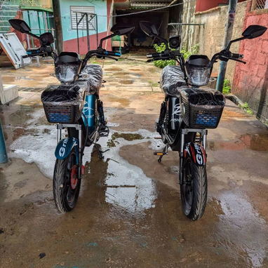 Se vende Bisimoto Grillo - Img 124582720