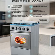Cocina con Horno Tornado 4 Hornillas | Tapa Cristal | $250 USD Con Transporte, Garantía y Factura | Gris Plateado Sin Ma - Img 57777332