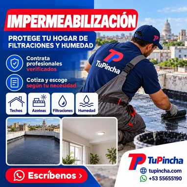 Albañil, Brigadas, Pintura e Impermeabilización en La Habana | Profesionales Verificados - 6/7