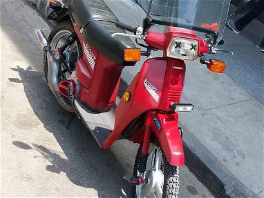 Oferta Exclusiva  Honda Scoopy SH75, la joya de las scooters en Cuba. Una inversión en distinción y rendimiento superior - Img 68748863