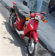 Oferta Exclusiva  Honda Scoopy SH75, la joya de las scooters en Cuba. Una inversión en distinción y rendimiento superior - Img 45809551