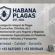 Servicio de fumigación y exterminio de chinches - Img 56699196